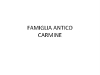FAMIGLIA-ANTICO-CARMINE-001
