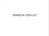 FAMIGLIA-CERULLO-001