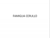 FAMIGLIA-CERULLO-001