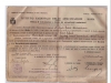 FAMIGLIA-RICCIO-LELLO-FORIA-024